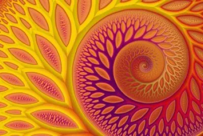 Color Pattern