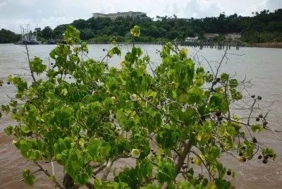 lugares conocÃ­ 2010