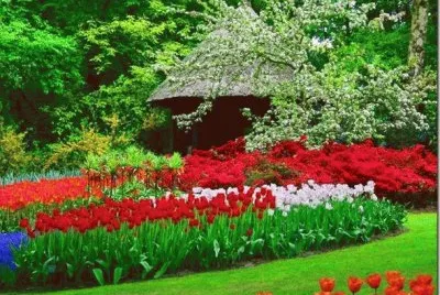 jardim