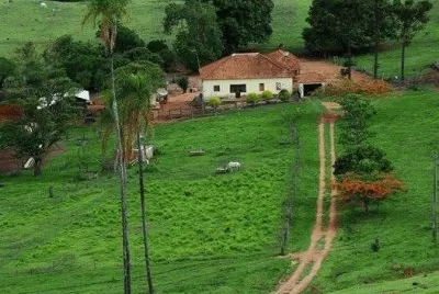 campo