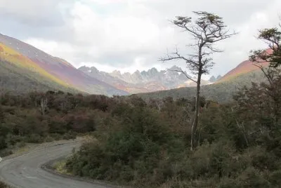 Dientes de Navarino