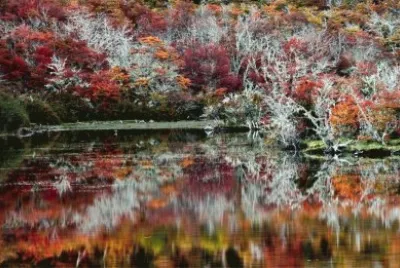 La maravilla del otoÃ±o