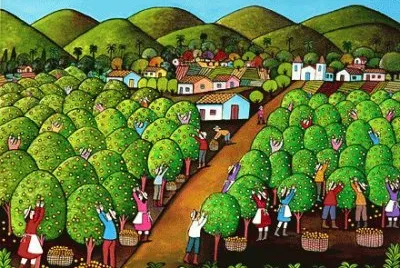 Orange picking  Brasil