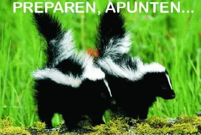 PREPAREN, APUNTEN...