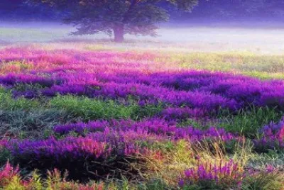 couleurs