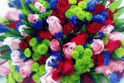 fleurs