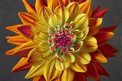 Confetty Dahlia jigsaw puzzle