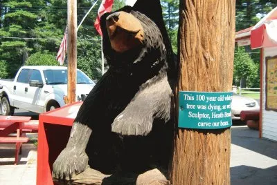 Grizzly Mascot