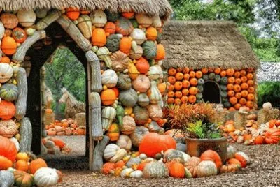 Many Pumpkins