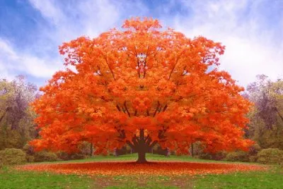 3 jigsaw puzzle