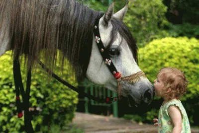 - amor perfeito!