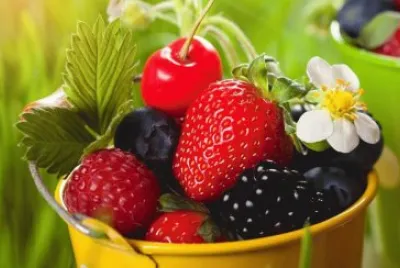 fresas