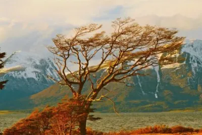 פאזל של La Patagonia es hermosa en todos los paisajes que nos entrega