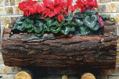 Jardinera