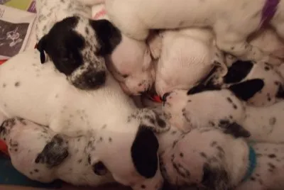 mis hijos
