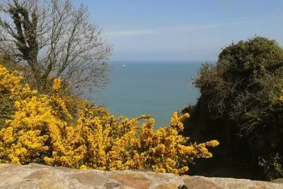 wicklow