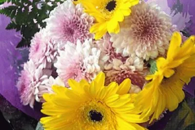 פאזל של flowers