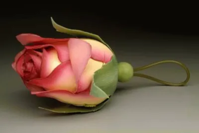 Beautiful Rose jigsaw puzzle