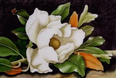 magnolia