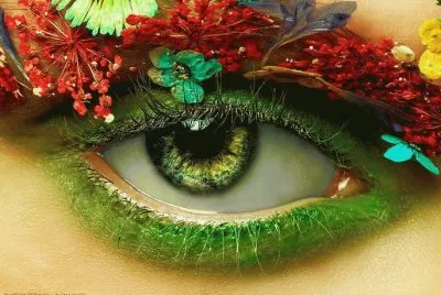 oeil