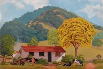 vacas
