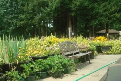 jardim