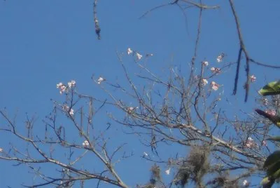 paisaje jigsaw puzzle