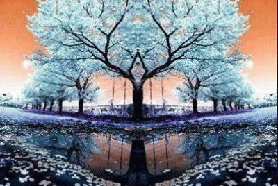 arbre