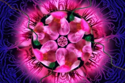 Mandala