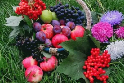 fleurs fruits