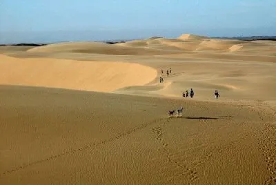 Medanos de Coro Falcon Venezuela