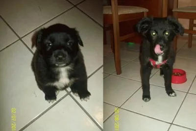 O antes e o depois