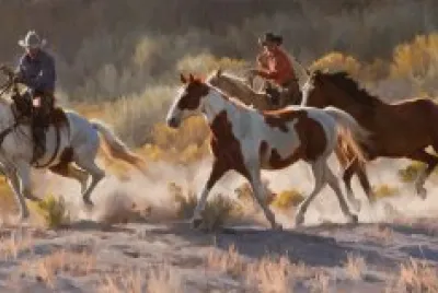 VAQUEROS