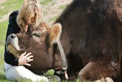 - colo gostoso!