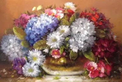 Colores