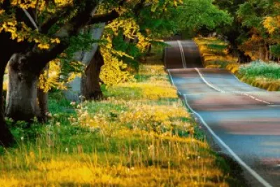 Kyoto Japon