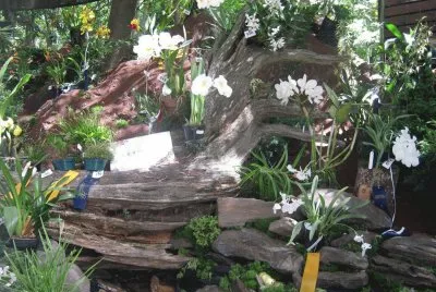 flores