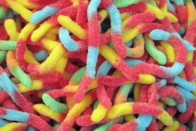 gusanos