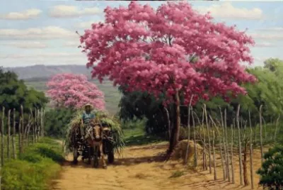 carro de boi