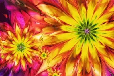 Bright Flowers