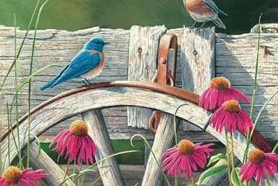 Birds in the Garden