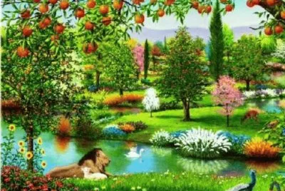 paraÃ­so jigsaw puzzle