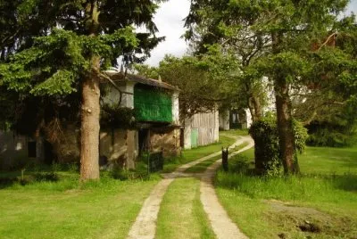 camiÃ±o