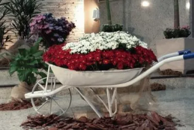 jardim