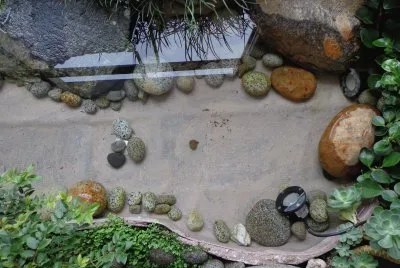 JARDÃN INTERNO