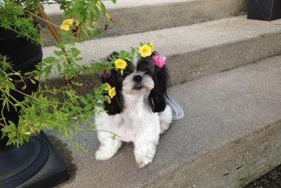 Basia looks like a Flower Girl