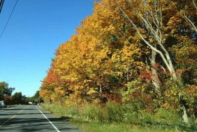 Fall 2014 Vermont