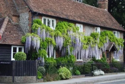 maison jigsaw puzzle