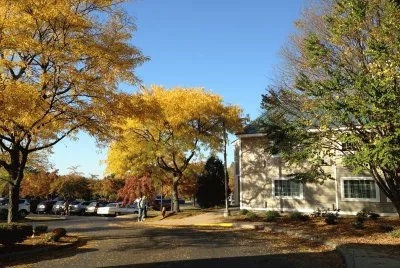 Fall Colors 2014 Vermont jigsaw puzzle