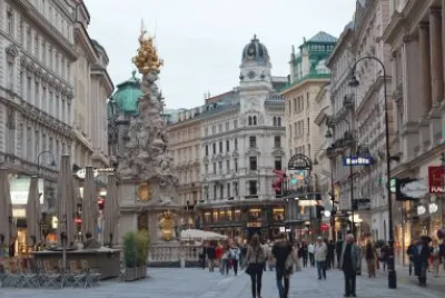 viena jigsaw puzzle